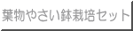 葉物やさい鉢栽培セット 