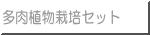 多肉植物栽培セット