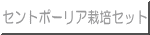 セントポーリア栽培セット 