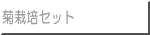 菊栽培セット