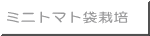 ミニトマト袋栽培